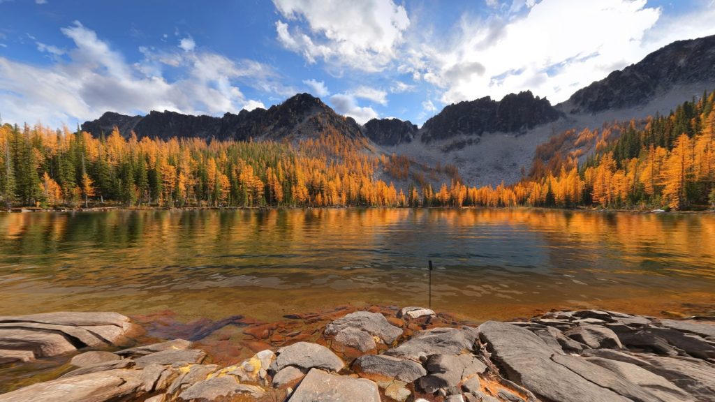 Real VR Fishing для Oculus Quest